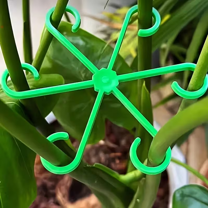 Variegated Monstera Node - Juego de 8 Soportes para Tallos