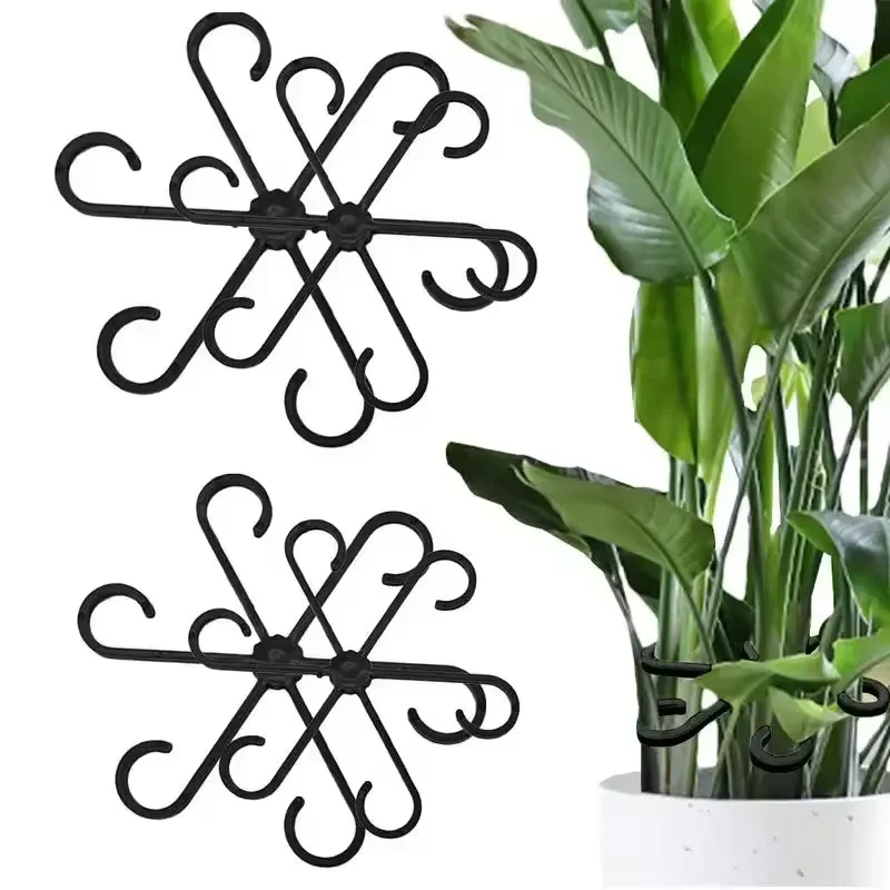 Variegated Monstera Node - Soportes para tallos de Alocasia y