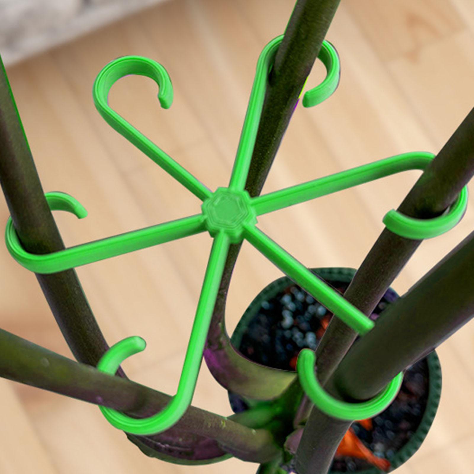 Variegated Monstera Node - 4 Clips de Soporte para Tallos