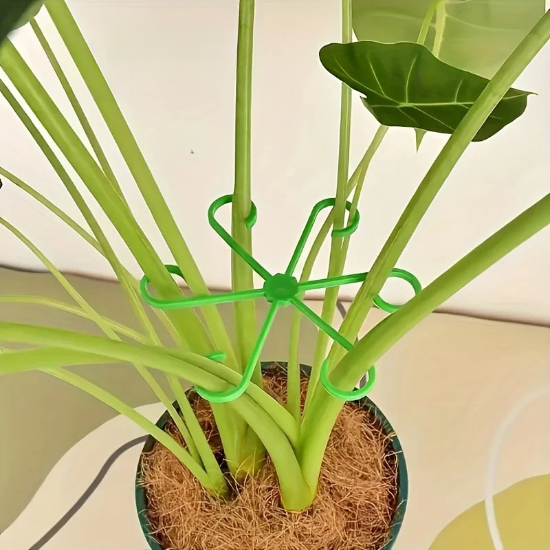 Juego de 8 Soportes para Tallo - Variegated Monstera Node reseña y precio