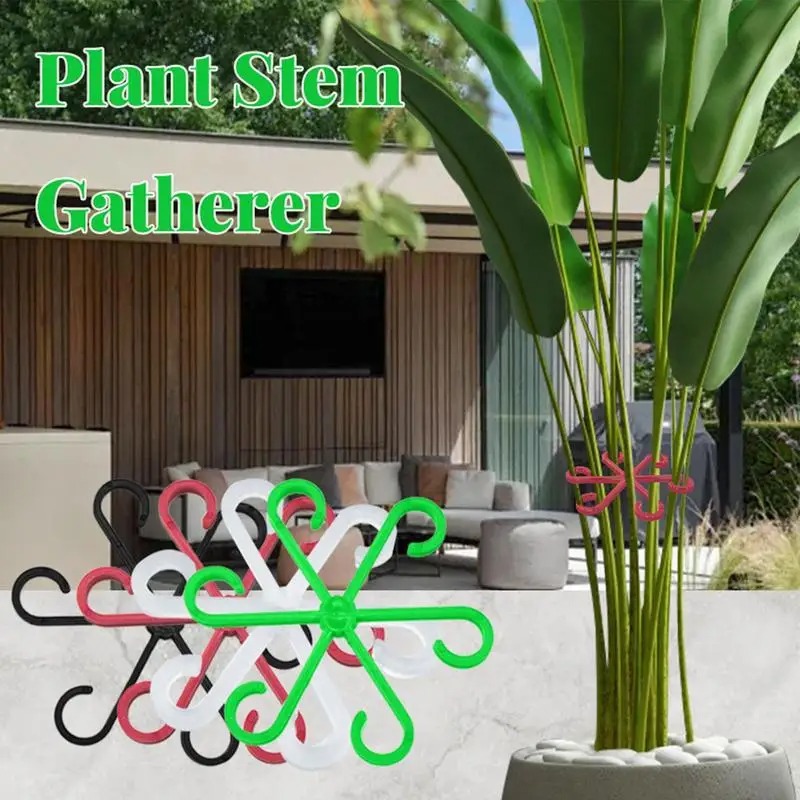 Clips de soporte para plantas  - Variegated Monstera Node reseña y precio