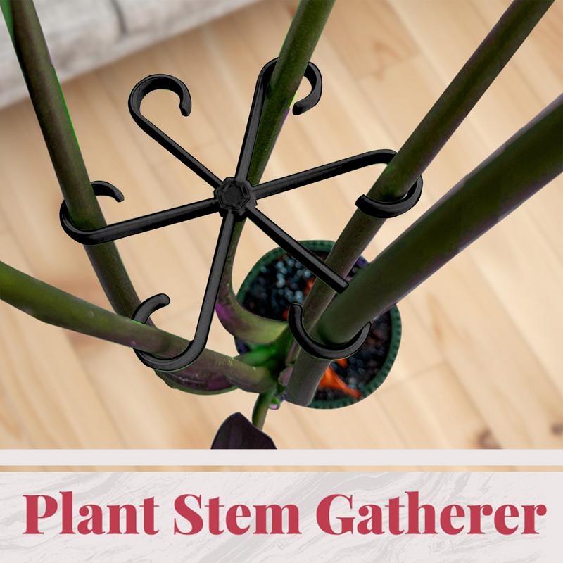 Clips de soporte para plantas  - Variegated Monstera Node reseña y precio