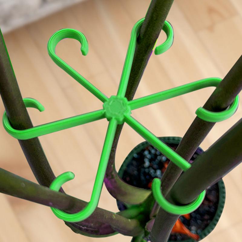 Clips de soporte para plantas  - Variegated Monstera Node reseña y precio