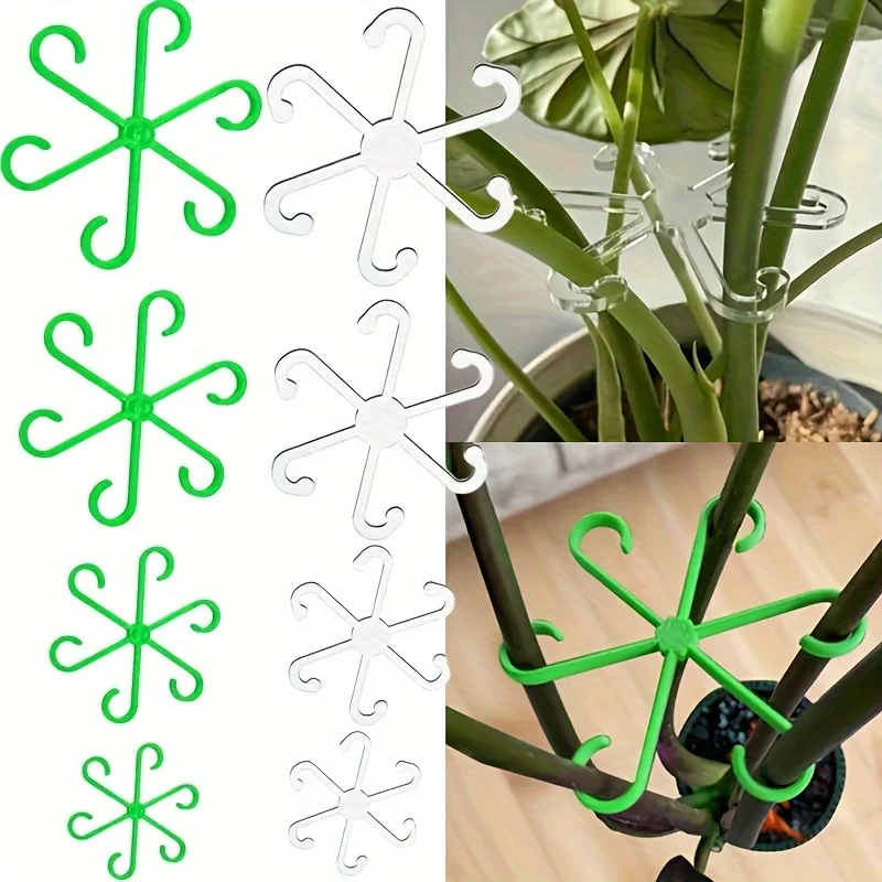 4 clips de soporte para planta - Variegated Monstera Node reseña y precio