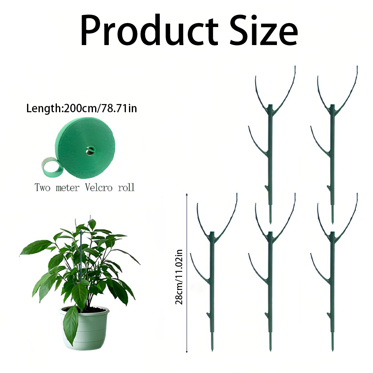 6 Estacas de Soporte para Plan - Variegated Monstera Node reseña y precio