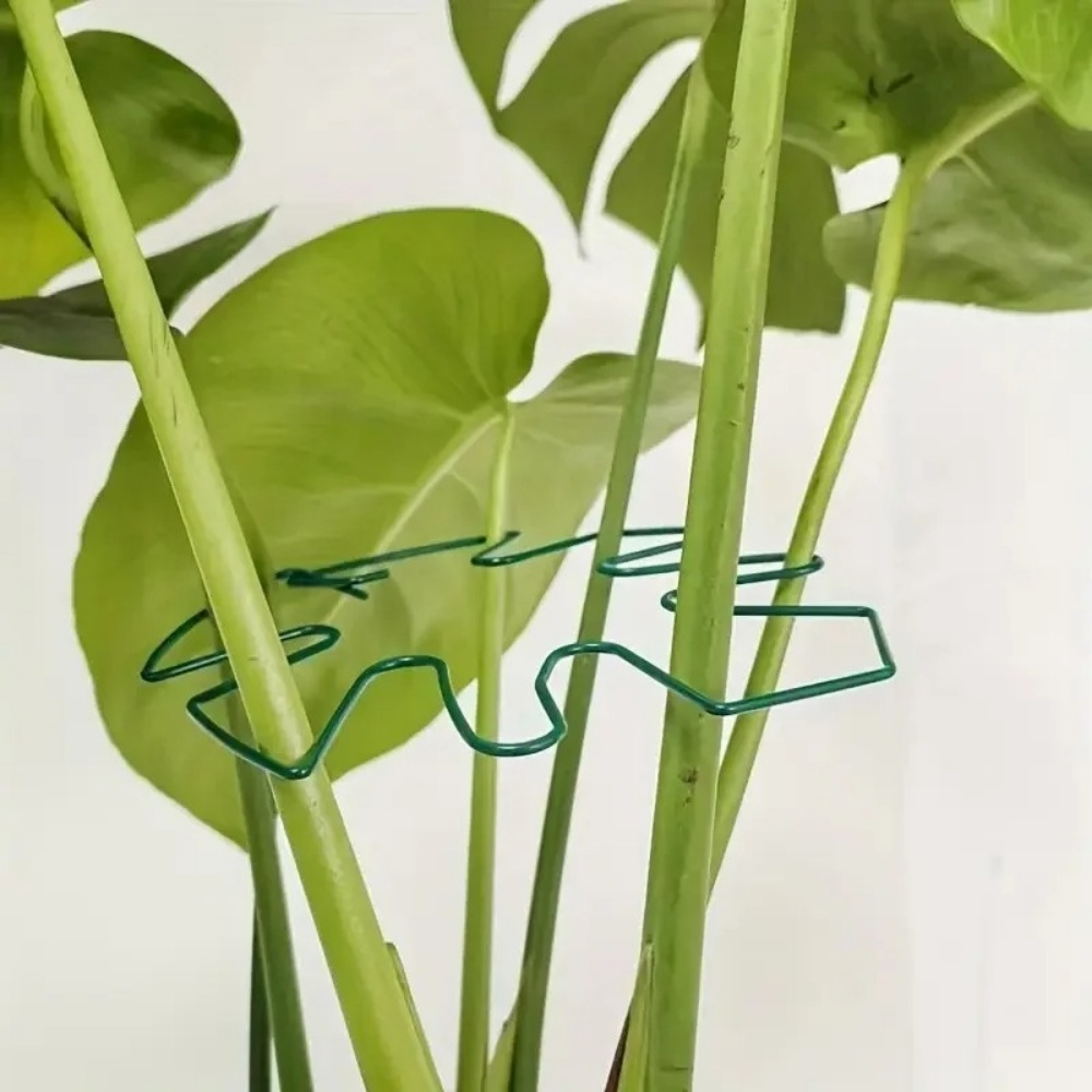 Soporte grande para plantas de - Variegated Monstera Node reseña y precio