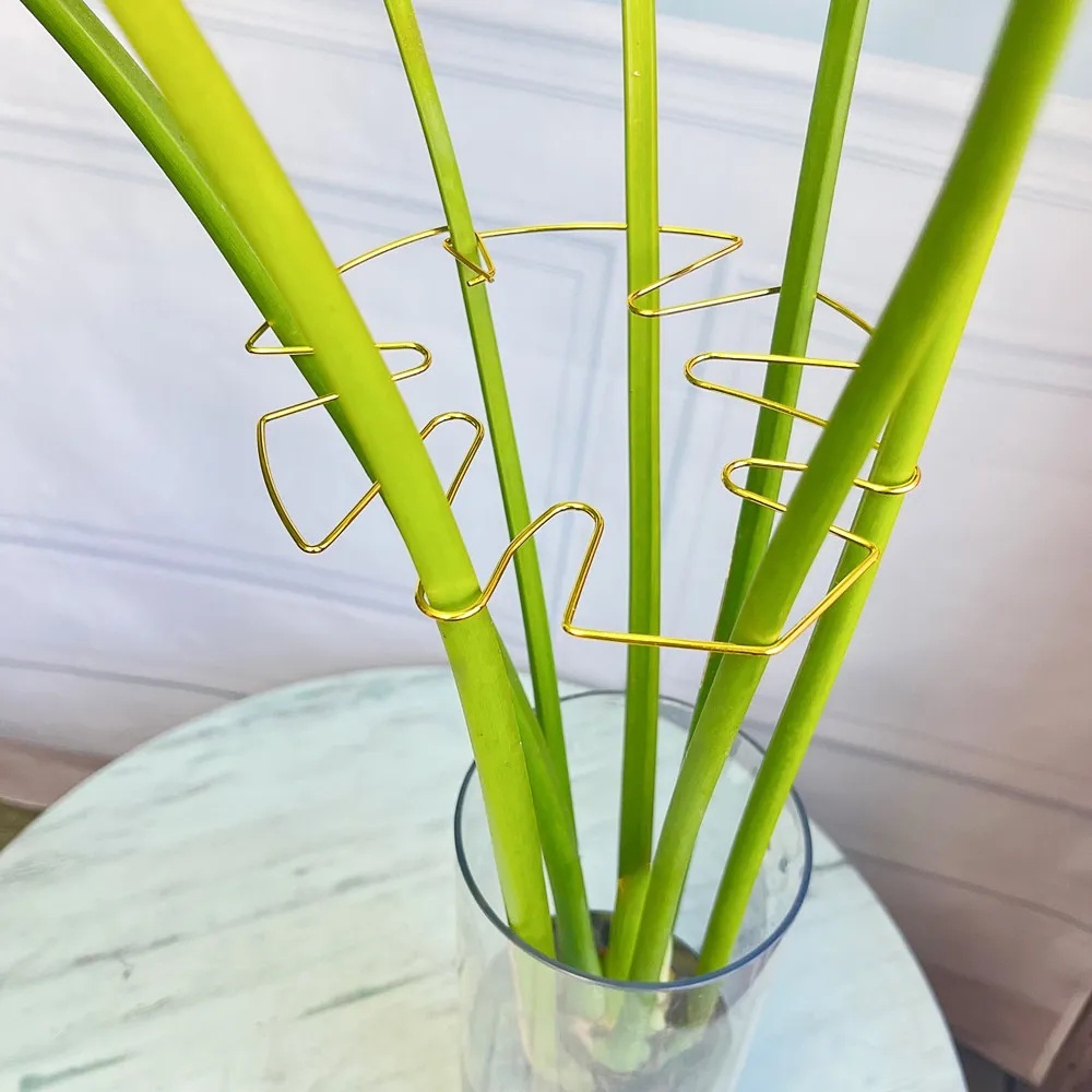 Soporte grande para plantas de - Variegated Monstera Node reseña y precio