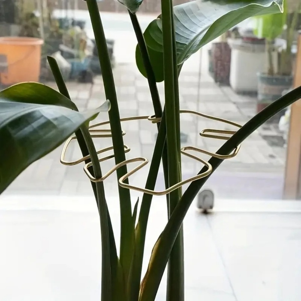 Soporte grande para plantas de - Variegated Monstera Node reseña y precio