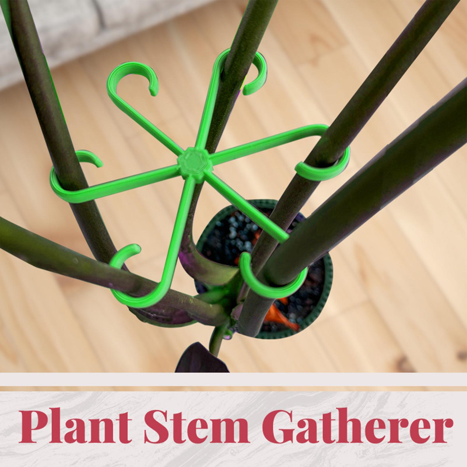4 Clips de Soporte para Tallos - Variegated Monstera Node reseña y precio