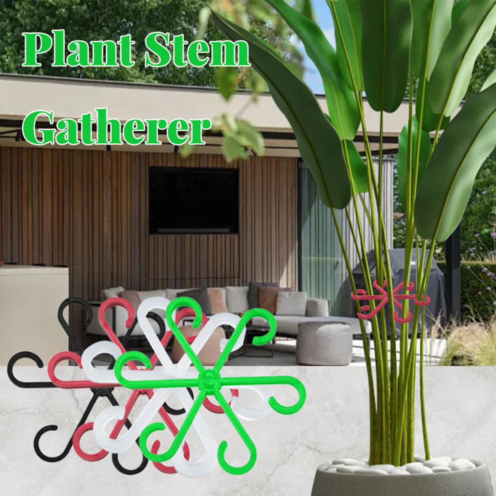 4 Clips de Soporte para Tallos - Variegated Monstera Node reseña y precio