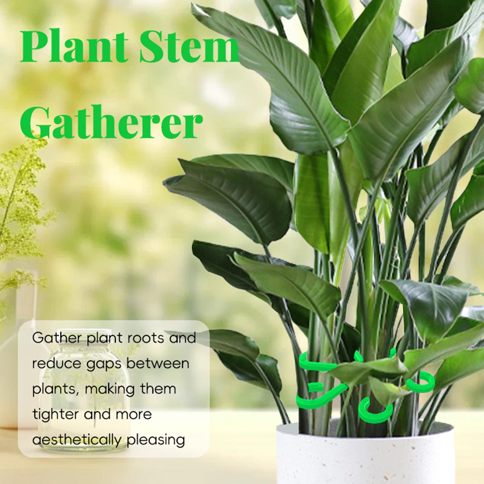 4 Clips de Soporte para Tallos - Variegated Monstera Node reseña y precio